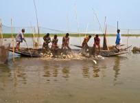 Bangladesh fisherman