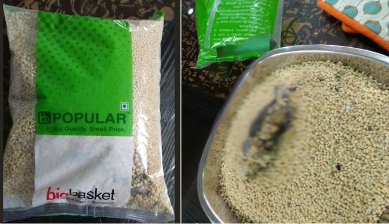 Dead rat found on the dal pack of Big Basket. Dead rat, big basket,