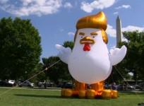Giant inflatable Trump chicken stares down the White House