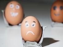 What to know about Europes egg crisis