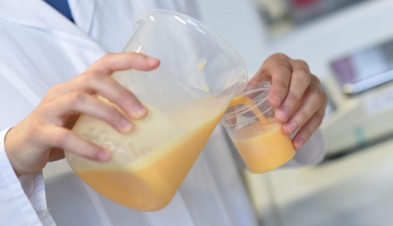 In picture: A laboratory technician of the Bavarian State Office of Health and Food Safety (Bayerische Landesamt für Gesundheit und Lebensmittelsicherheit) checks eggs for the harmful insecticide fipronil in a laboratory in Erlangen, Germany, August 10, 2017. Europe egg scandal