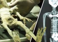 alien baby, discovered, Peru, dead,