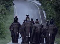 Bajaj Dominar 400 advert, Bajaj Dominar 400 VS Royal Enfield, Bajaj Dominar 400 sales