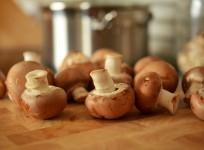 mushroom, health,