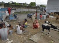 bihar floods