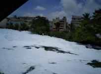 Belandur lake frothing