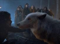 Jon Snow with his direwolf