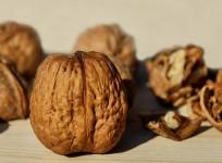 walnut, superfood,