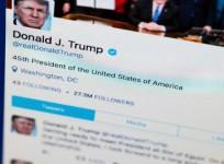 Twitter reacts to President Trumps claim that American culture is being ripped apart