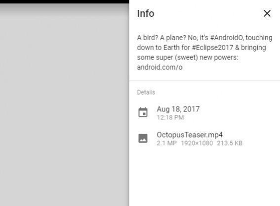 Google Android Octopus teaser video