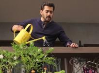 Salman Khan, Bigg Boss 11