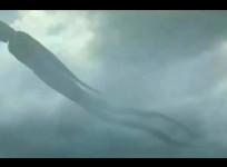 dementor, Harry Potter, strange cloud,