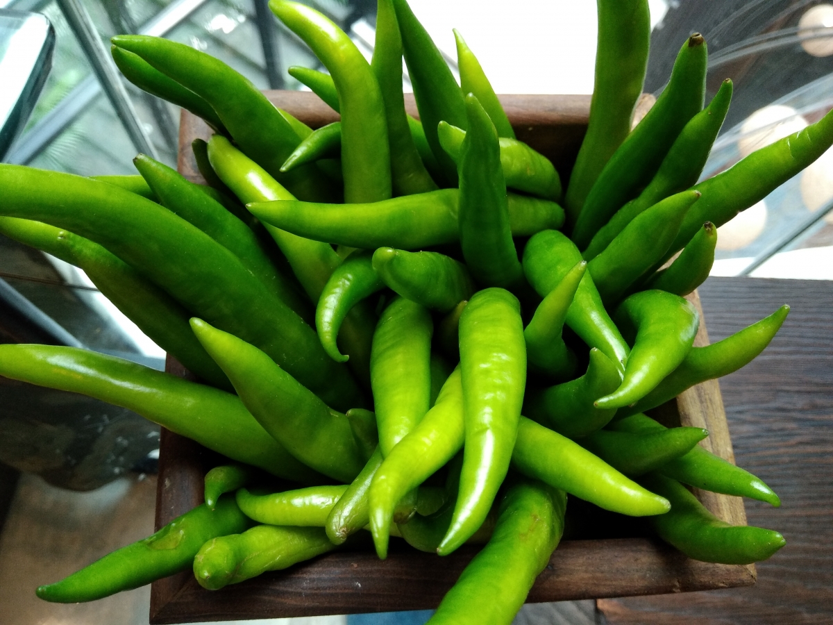 Micromax Canvas Infinity