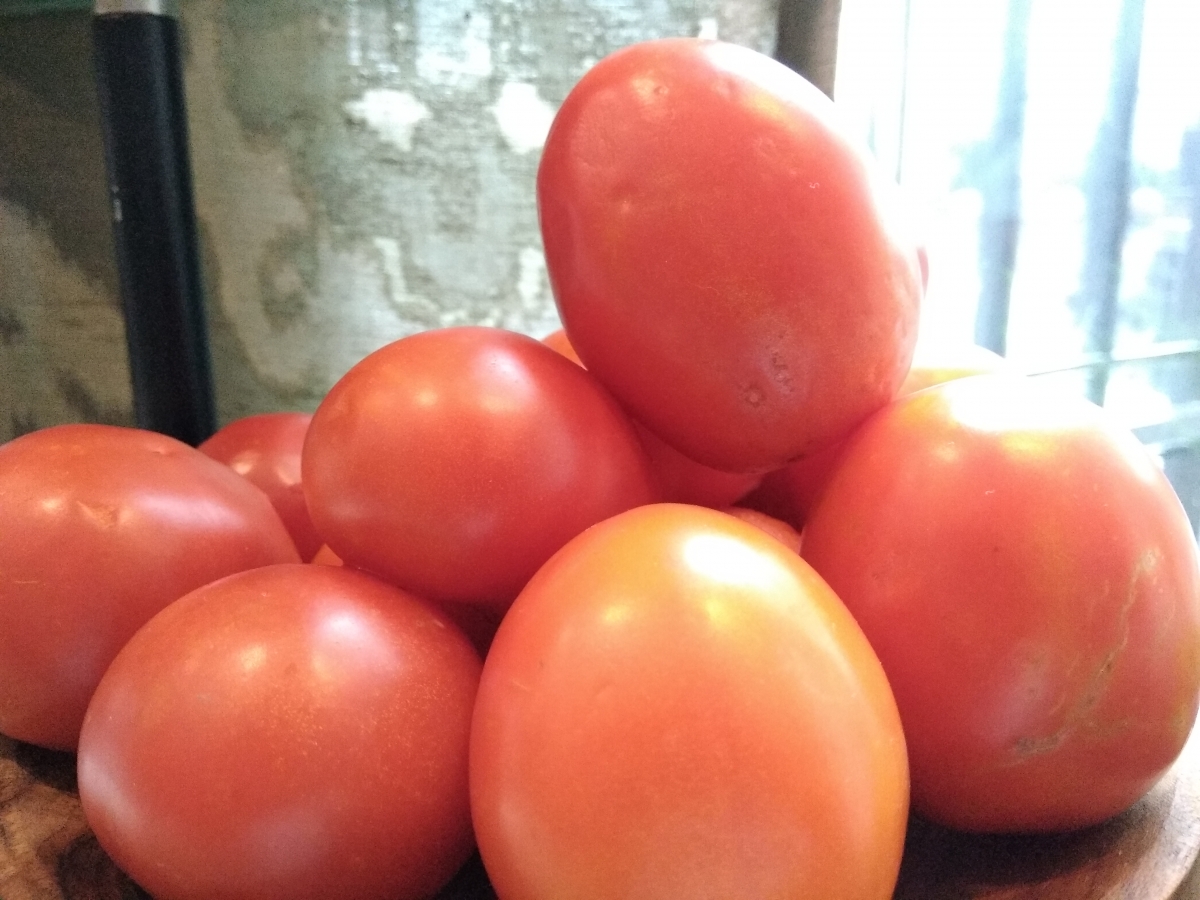 Micromax Canvas Infinity Camera Samples Micromax Canvas Infinity Camera Samples