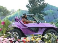 Gurmeet Ram Rahim Singh