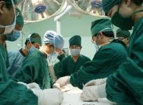 Organ transplant in humans