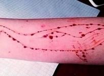 Blue Whale game