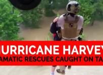 Hurricane Harvey: Dramatic rescues caught on video