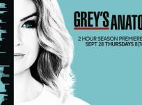 Greys Anatomy