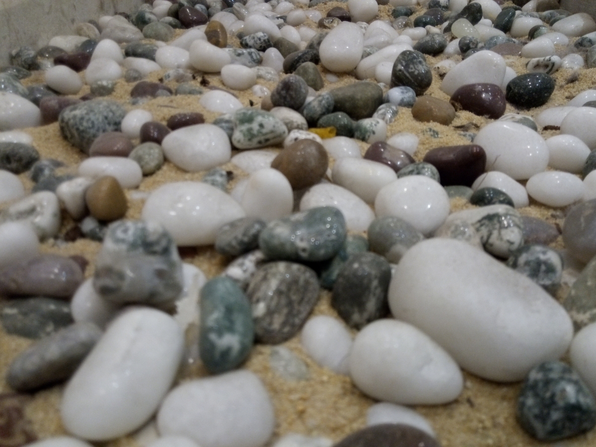 Leagoo T5 Camera Samples