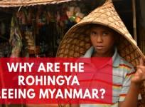 Who are the Rohingya and why are so many fleeing Myanmar?