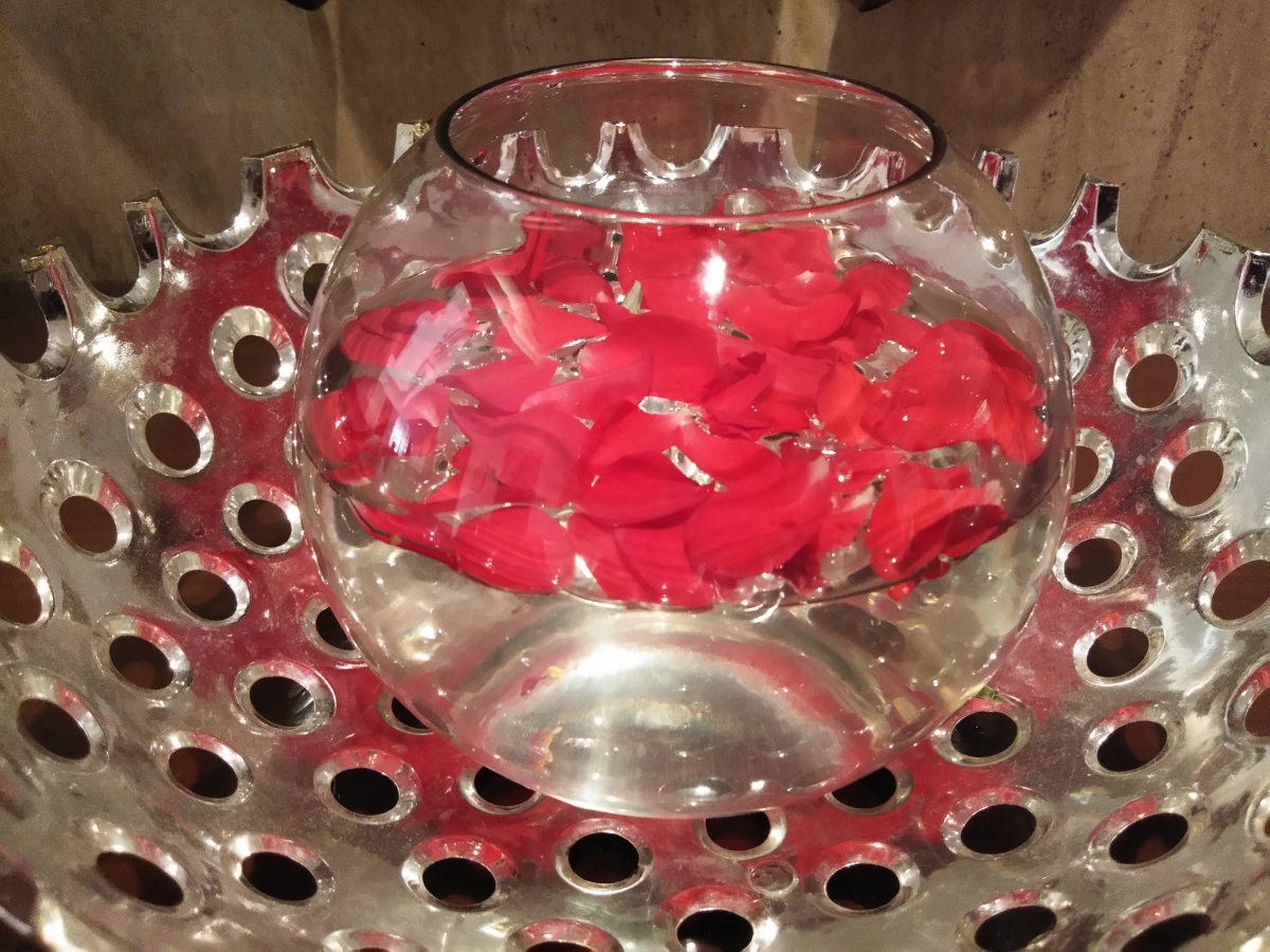 Vivo V7 camera sample Vivo V7 camera sample