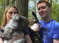 Meet the cat brothers breaking Guinness World Records