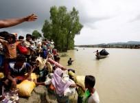 Rohingya