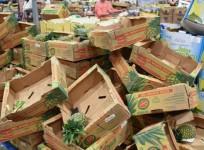 Famous Floridians brace for Hurricane Irma