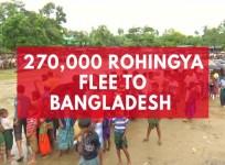 270,000 Rohingya flee to Bangladesh after weeks of violence