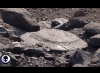 ufo, flying saucer, Russia, weird news,