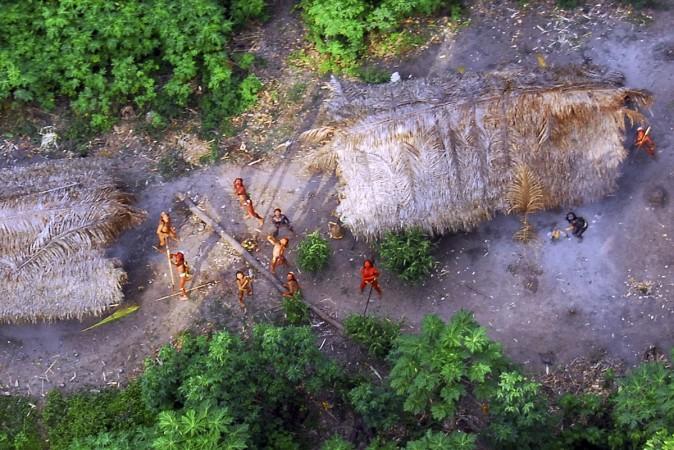 Members of an uncontacted Amazon Basin tribe and their dwellings Amazon tribe