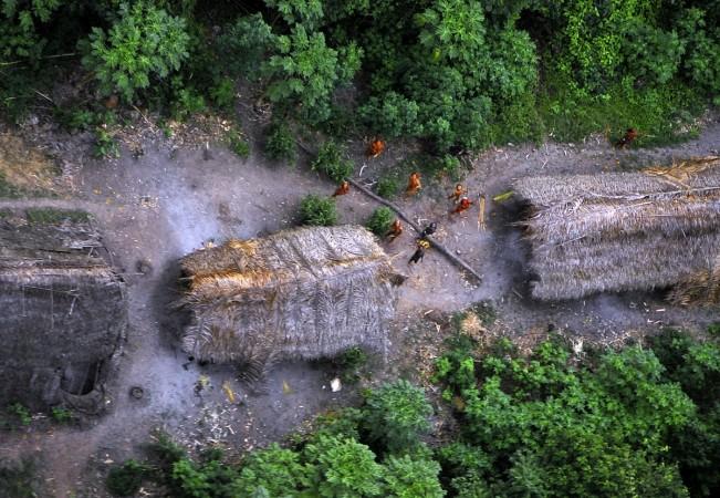 Members of an uncontacted Amazon Basin tribe and their dwellings Amazon tribe