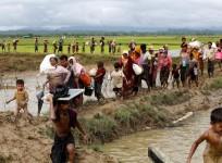 A group of Rohingya refugee people walk towards Bangladesh after crossing the Bangladesh-Myanmar border in Teknaf, Bangladesh.
