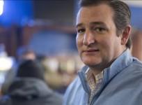 Ted Cruz liked a hardcore porn video on Twitter and people found it hilarious