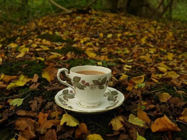 tea,health,