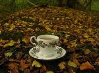 tea,health,