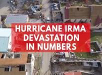 Hurricane Irma devastation in numbers
