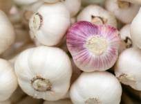 garlic, sex, libido, health,
