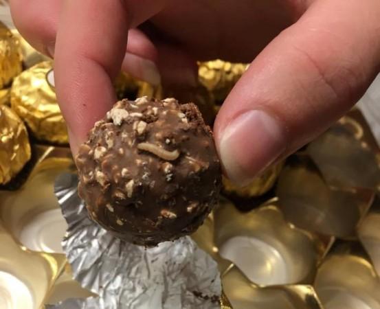 Maggots crawling out of the Ferroro Rocher chocolate. Ferroro Rocher chocolate