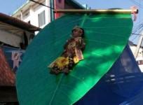 Child tied to peepal leaf