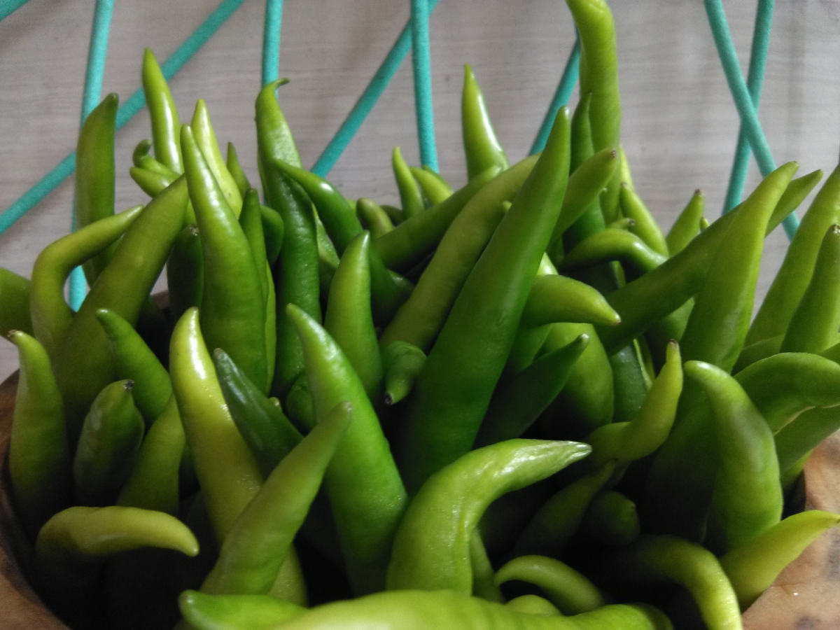 Coolpad Note 5 Lite C camera sample