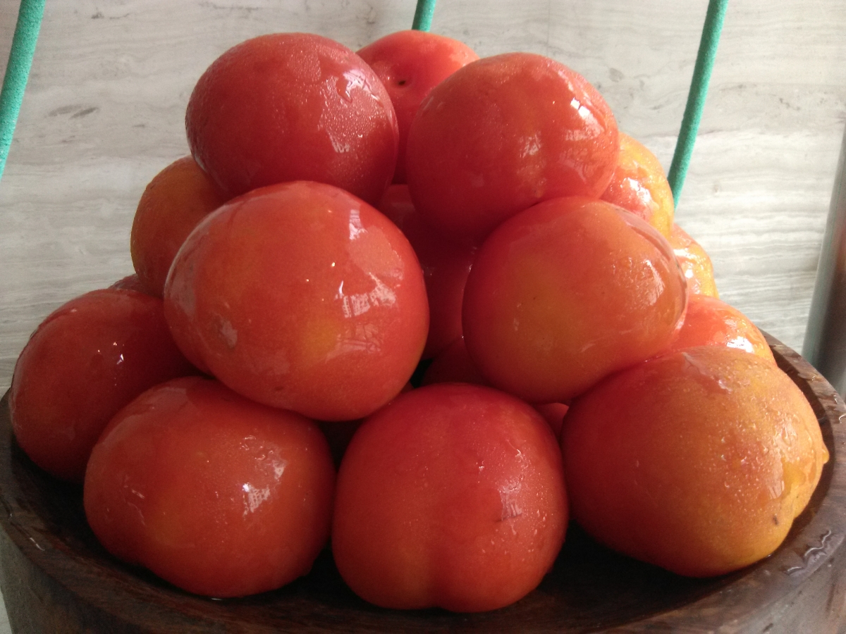 Coolpad Note 5 Lite C camera sample