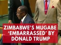 Zimbabwes Mugabe embarrassed by biblical giant gold goliath Donald Trump