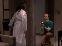 The Big Bang Theory