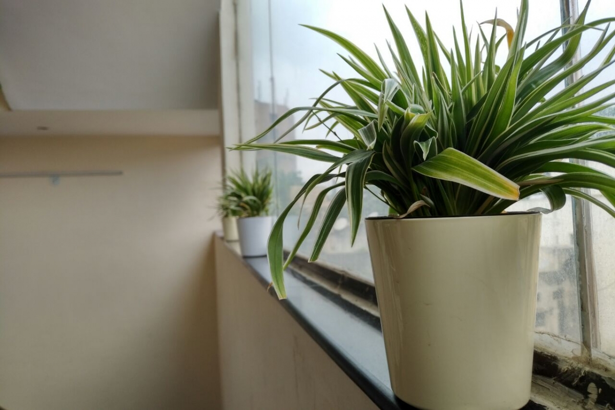 BlackBerry KEYone review