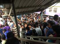 Elphinstone stampede