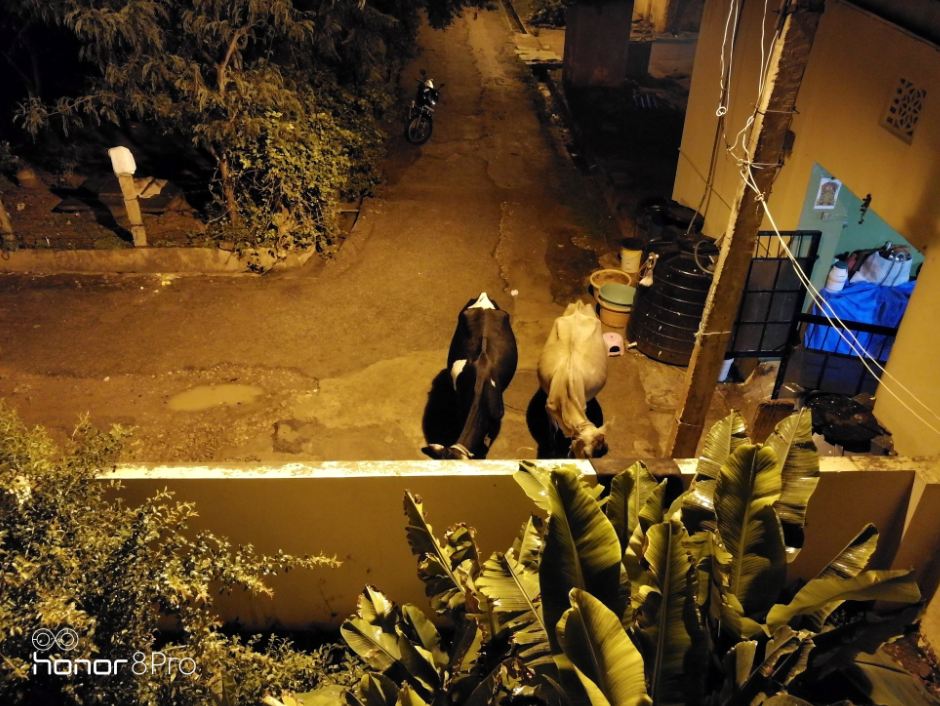 Huawei, Honor 8 Pro, camera review, price, launch, specification