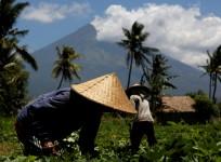 Mount Agung