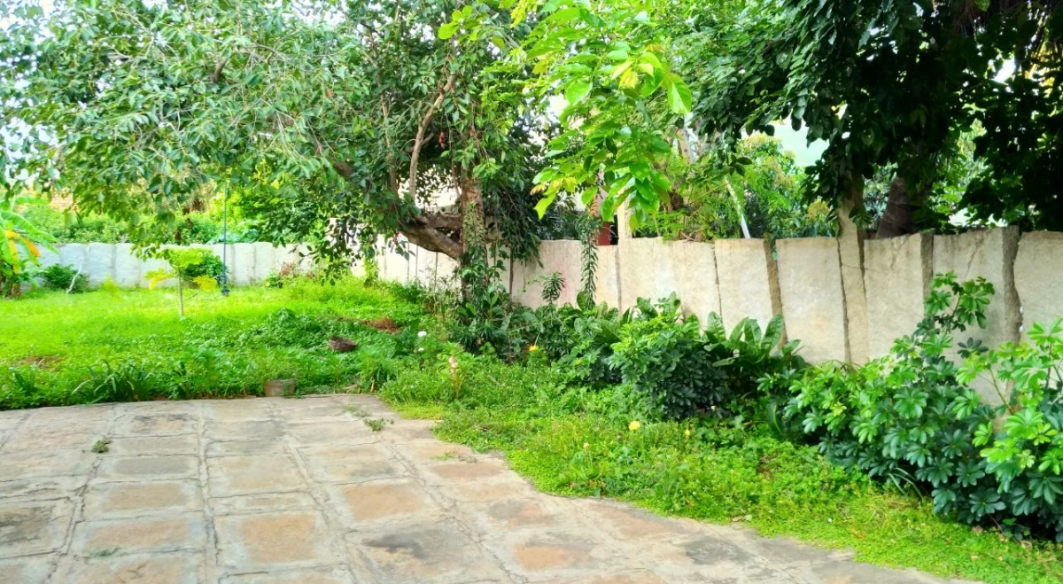 Asus Zenfone Zoom S camera sample taken during the afternoon Asus, Zenfone Zoom S, review, display, design, battery, performance